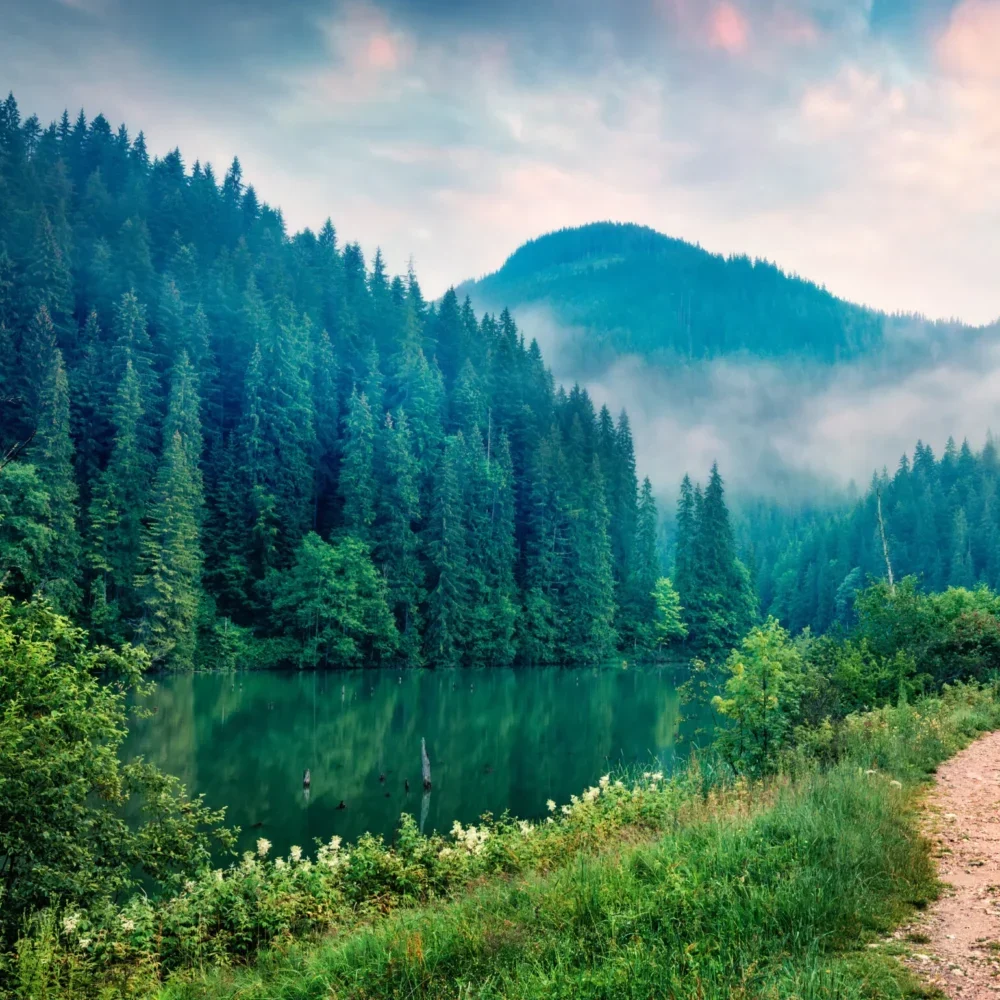 Beauté de la nature
